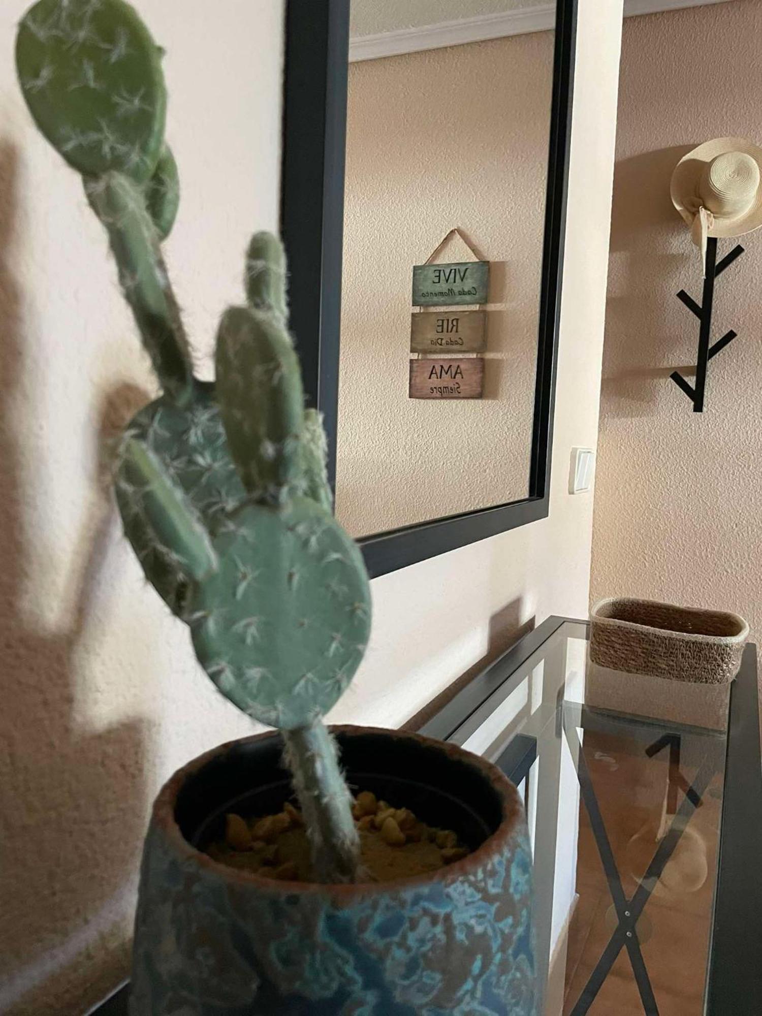 Vive Rie Ama Tenerife - 2 Bedroom Apartment سان ميغيل ذي أبونا المظهر الخارجي الصورة
